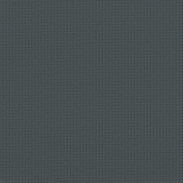 Close-up of San Lucas Family Friendly Carpet in Blustery Sky shows a gray ribbed knit-inspired, textured surface with a repeating vertical pattern—ideal for high-traffic, family homes.