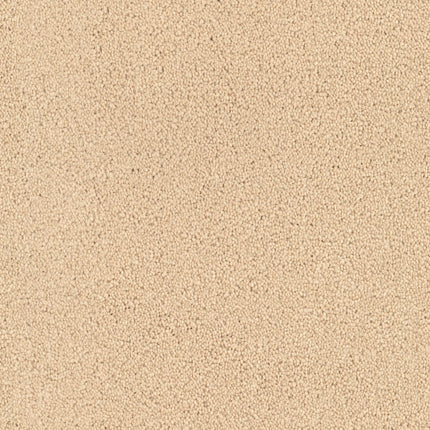Close-up view of Tribute Family Friendly Carpet in Bon Ton color, featuring a light beige, soft textured surface with a uniform and slightly speckled appearance—ideal for families seeking durability and comfort.