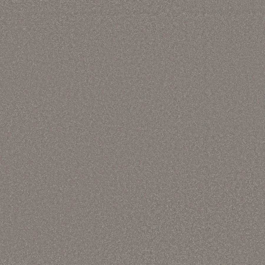 The Awaken Spirit Pet Friendly Carpet in Boulder features a static-inspired, grainy texture with gray and white speckles, adding contemporary style to any space while being perfect for pet owners.