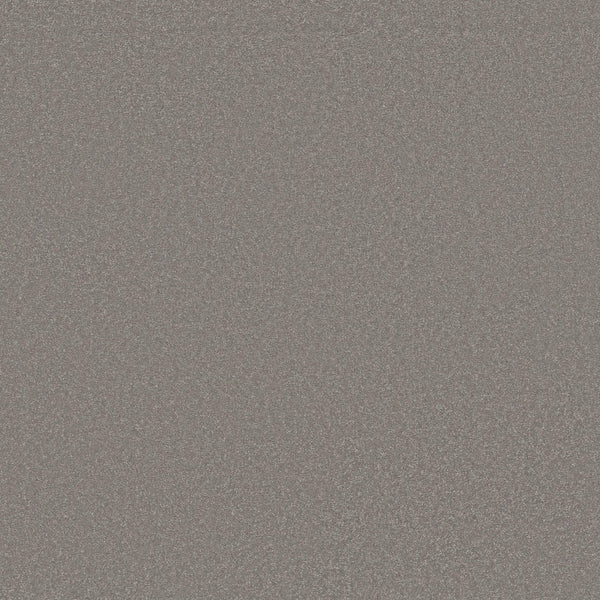 The Awaken Spirit Pet Friendly Carpet in Boulder features a static-inspired, grainy texture with gray and white speckles, adding contemporary style to any space while being perfect for pet owners.