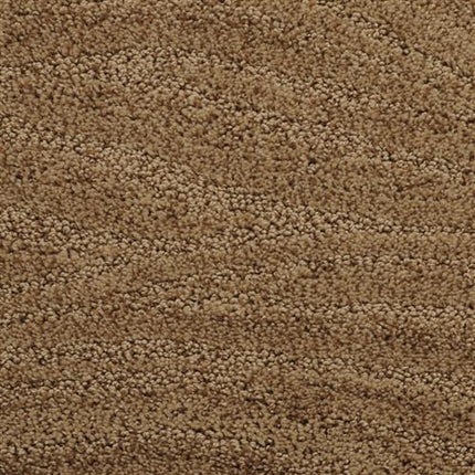 Close-up of the Taittinger On Trend Carpet in Branchport, highlighting its textured brown looped pile and subtle wavy pattern—an ideal choice for stylish, durable carpeting or luxury flooring.