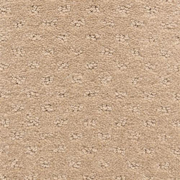 Dreamer On Trend Carpet in Brass features a textured, looped design with evenly spaced raised clusters—crafted from plush fibers for a luxurious flooring option that offers both comfort and lasting style.