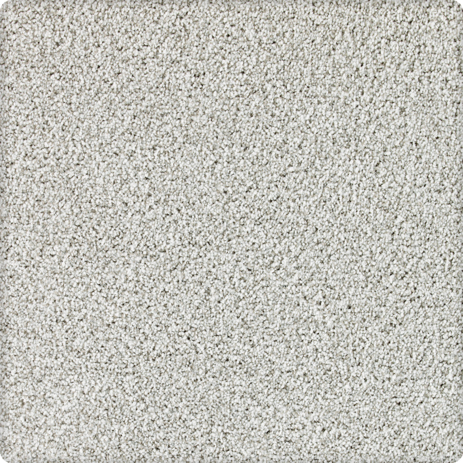 A close-up of Brava Family Friendly Carpet in Polaris shows soft, light gray textured fibers with a subtle speckled look—ideal for any space needing a durable, family-friendly carpet.