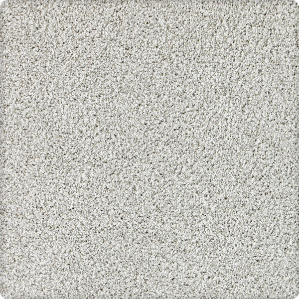 A close-up of Brava Family Friendly Carpet in Polaris shows soft, light gray textured fibers with a subtle speckled look—ideal for any space needing a durable, family-friendly carpet.