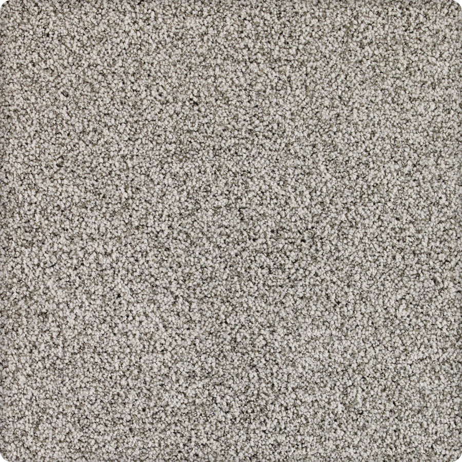A close-up of Brava Family Friendly Carpet in Mantis shows its light gray, textured surface with plush, evenly distributed fibers and consistent color for inviting, comfortable flooring.