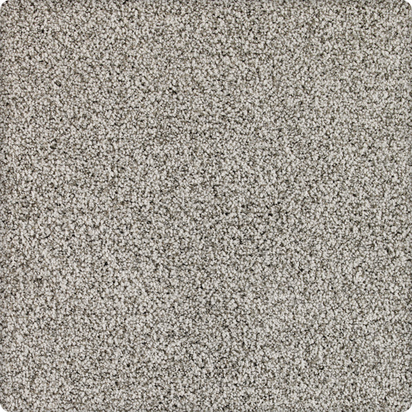 A close-up of Brava Family Friendly Carpet in Mantis shows its light gray, textured surface with plush, evenly distributed fibers and consistent color for inviting, comfortable flooring.