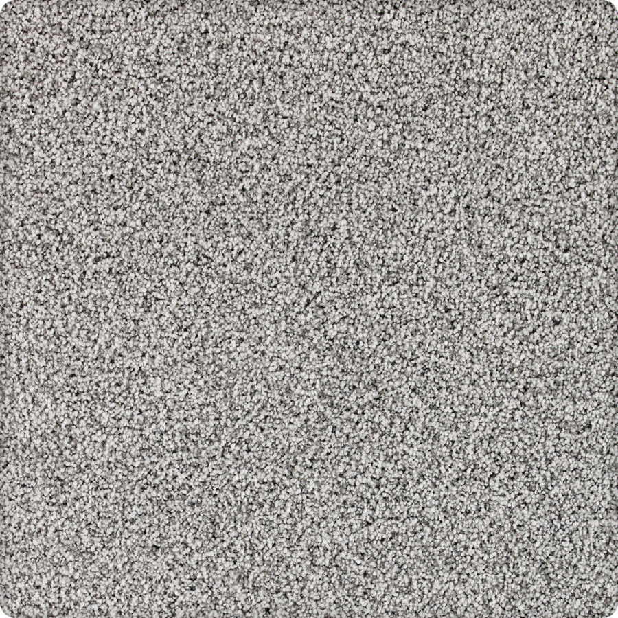 Close-up of Brava Family Friendly Carpet in the Skyline color, featuring light gray, speckled fibers with a soft, plush texture. This carpet offers a uniform surface and fills the frame for a family-friendly look.