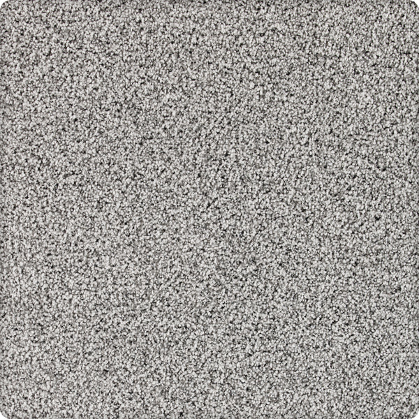 Close-up of Brava Family Friendly Carpet in the Skyline color, featuring light gray, speckled fibers with a soft, plush texture. This carpet offers a uniform surface and fills the frame for a family-friendly look.