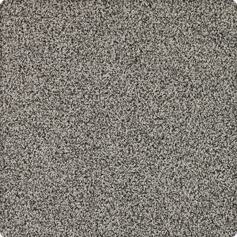 Close-up view of Brava Family Friendly Carpet in Aquacade color shows a soft, textured surface—a durable, stain-resistant choice ideal for families.