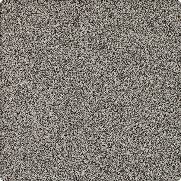 Close-up view of Brava Family Friendly Carpet in Aquacade color shows a soft, textured surface—a durable, stain-resistant choice ideal for families.