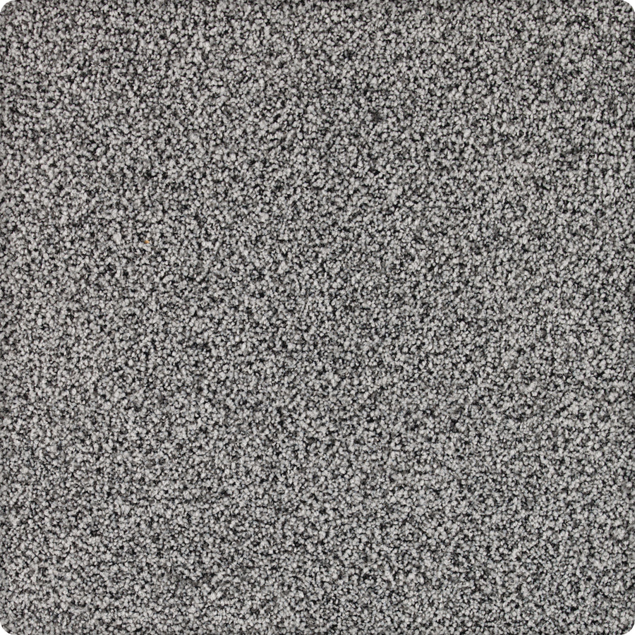 Close-up of Brava Family Friendly Carpet in Nocturne, featuring a dense, speckled texture. This soft, uniform carpet offers subtle shade variations—ideal for busy homes seeking both style and comfort.