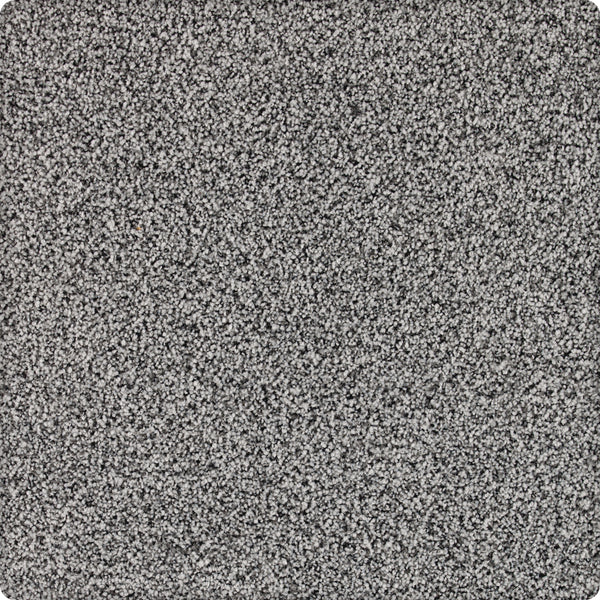 Close-up of Brava Family Friendly Carpet in Nocturne, featuring a dense, speckled texture. This soft, uniform carpet offers subtle shade variations—ideal for busy homes seeking both style and comfort.