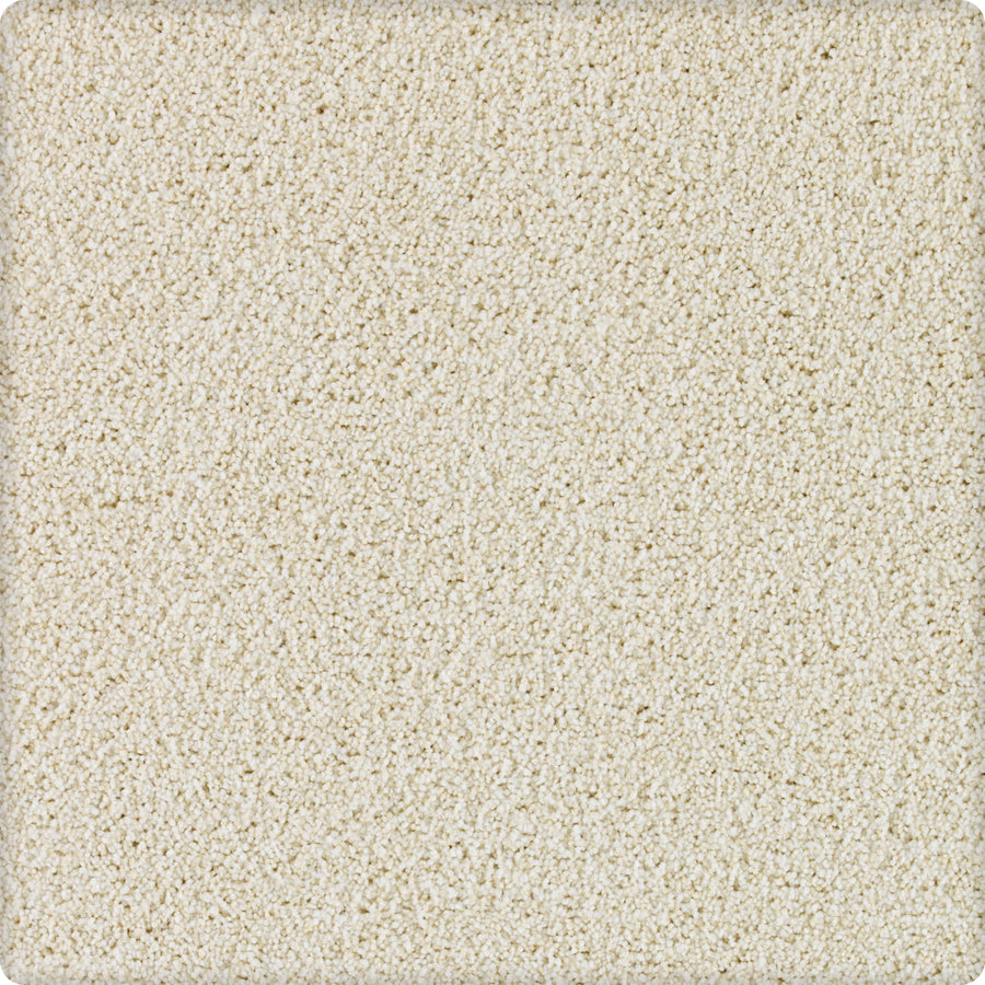 Close-up of Brava Family Friendly Carpet in Nouveau: a square, textured surface in light beige with a durable, carpet-like feel and small, uneven granules for a rough, plaster-inspired finish.