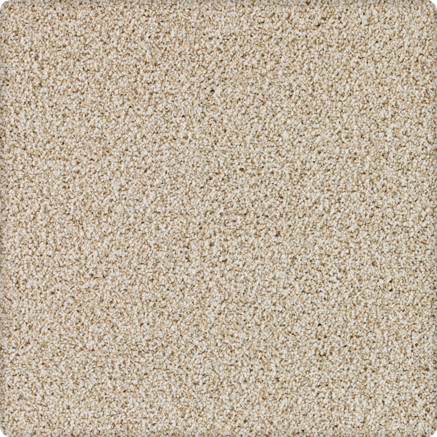 A close-up of Brava Family Friendly Carpet in Country Twill shows tightly packed, soft fibers for a plush, uniform surface—an ideal and durable choice for families.