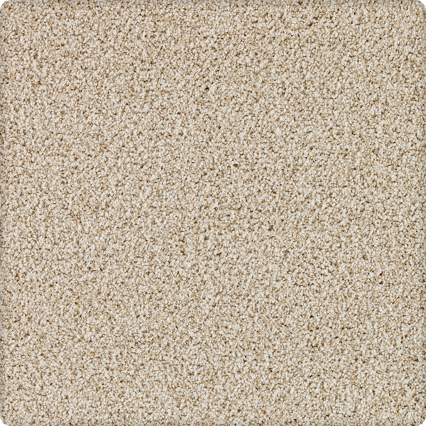 A close-up of Brava Family Friendly Carpet in Country Twill shows tightly packed, soft fibers for a plush, uniform surface—an ideal and durable choice for families.