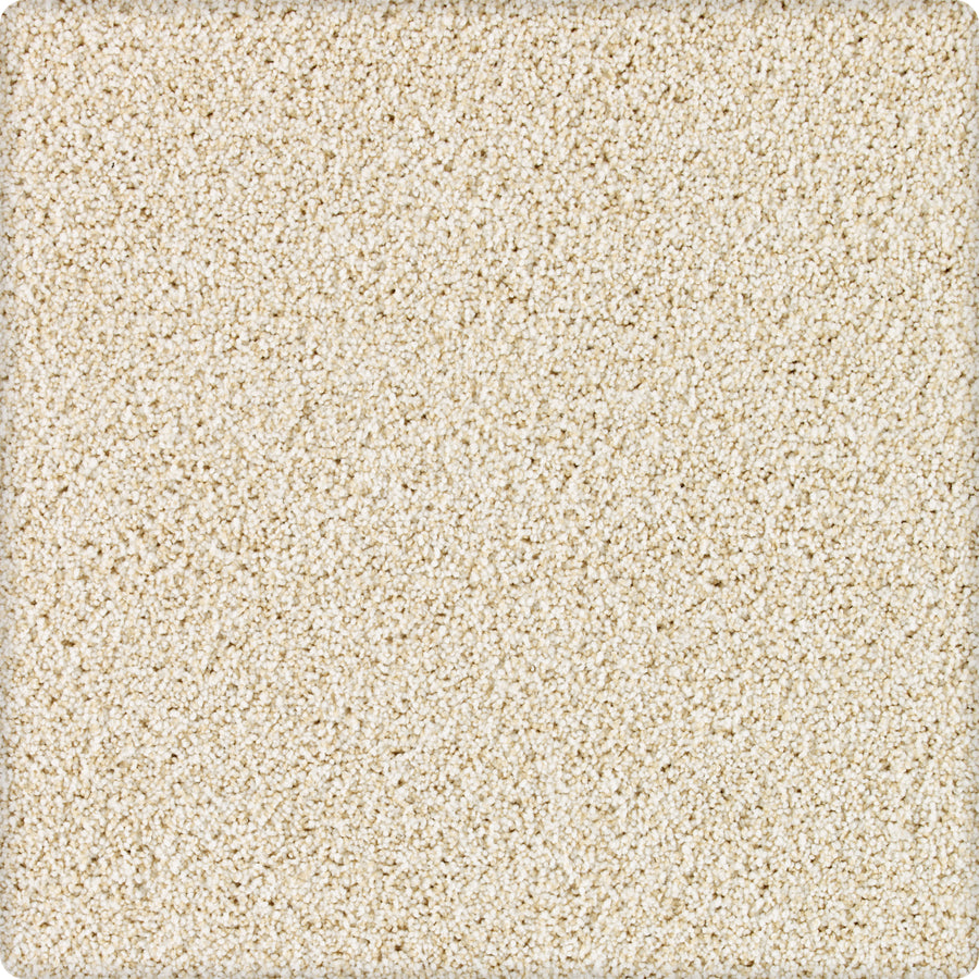 Close-up of Brava Family Friendly Carpet in Wheatland color, featuring a soft, plush texture and densely packed fibers. Its stain-resistant design and cozy look make it an ideal family-friendly choice for any home.