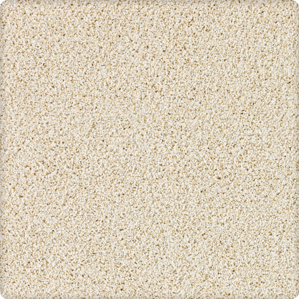 Close-up of Brava Family Friendly Carpet in Wheatland color, featuring a soft, plush texture and densely packed fibers. Its stain-resistant design and cozy look make it an ideal family-friendly choice for any home.