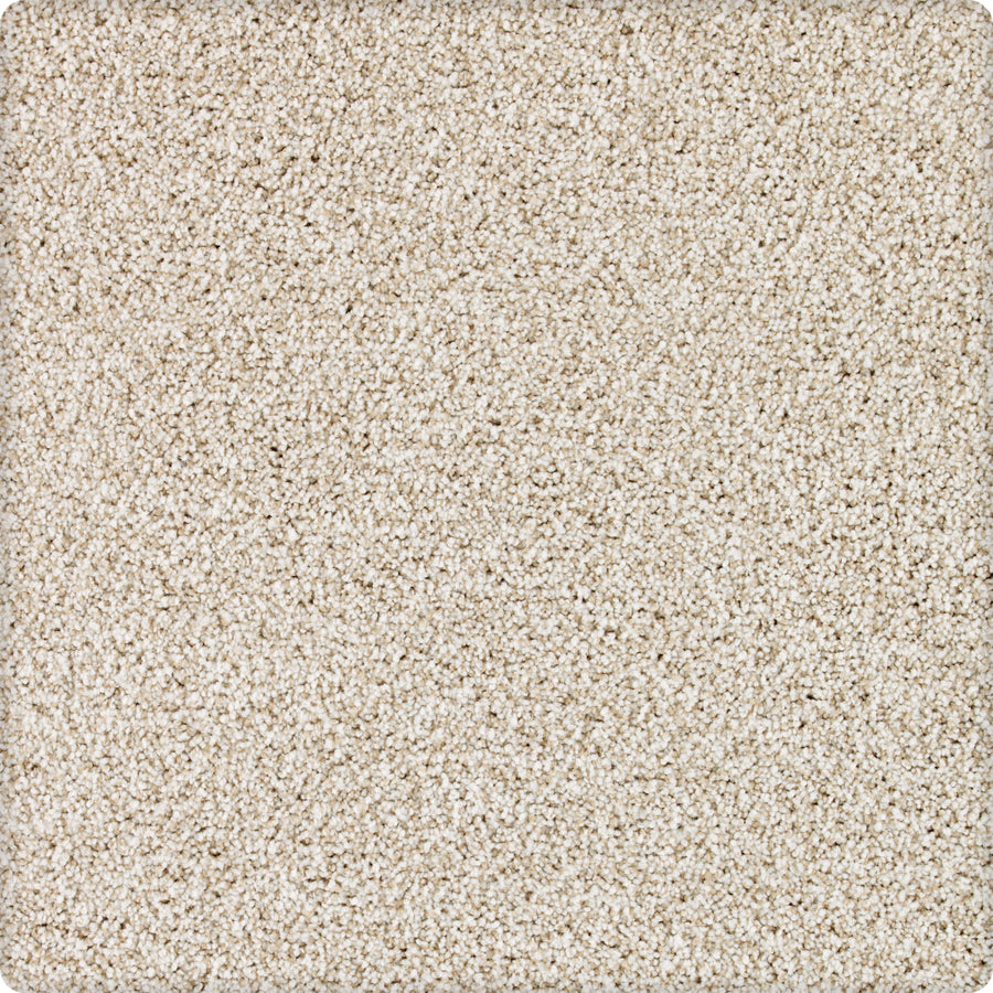Close-up of Brava Family Friendly Carpet in Mushroom, showing its soft, plush surface with small rounded fibers and a uniform textured pattern featuring subtle color variations.