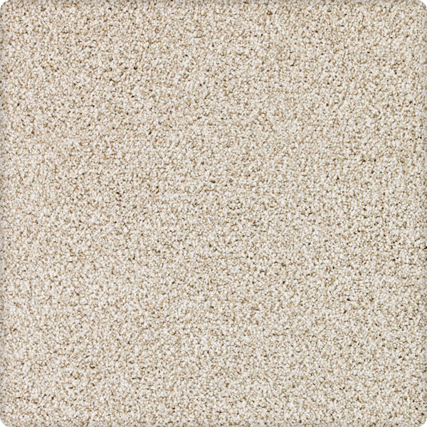 Close-up of Brava Family Friendly Carpet in Mushroom, showing its soft, plush surface with small rounded fibers and a uniform textured pattern featuring subtle color variations.