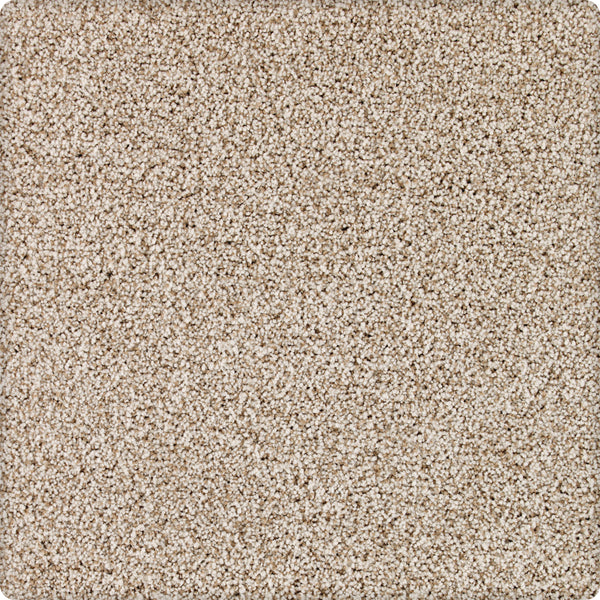 Close-up of Brava Family Friendly Carpet in Cliffside: beige, textured surface with tightly packed small fibers for a soft, uniform, and cozy look—perfect for family spaces.