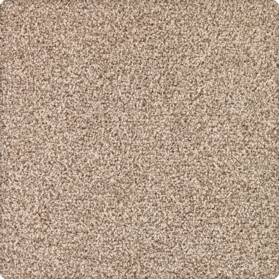 Close-up of Brava Family Friendly Carpet in Manor House—a light beige, stain-resistant carpet with tightly packed, soft fibers for a plush and durable, family-friendly flooring option.