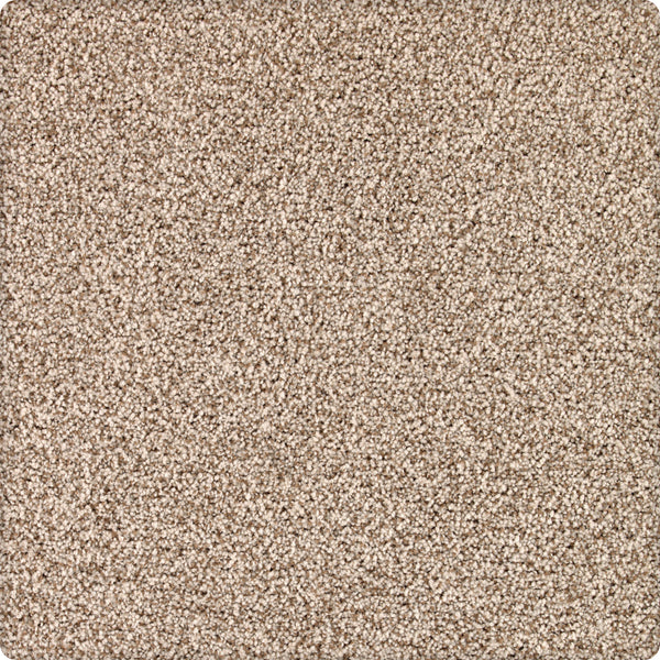 Close-up of Brava Family Friendly Carpet in Manor House—a light beige, stain-resistant carpet with tightly packed, soft fibers for a plush and durable, family-friendly flooring option.