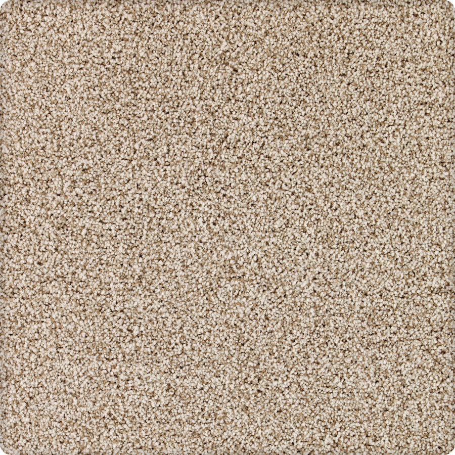 A close-up of Brava Family Friendly Carpet in Gatepost shows its soft, stain-resistant, textured surface. Dense plush fibers offer a uniform, cozy look—perfect for durability and comfort in any busy home.