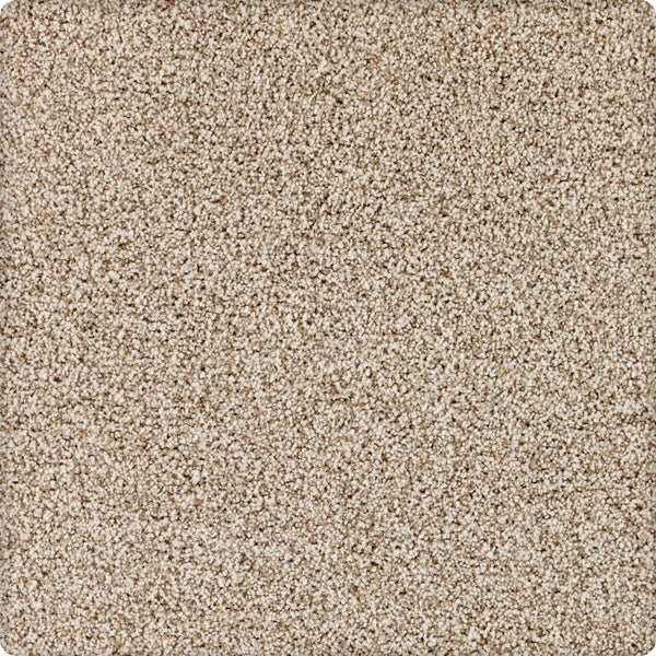 A close-up of Brava Family Friendly Carpet in Gatepost shows its soft, stain-resistant, textured surface. Dense plush fibers offer a uniform, cozy look—perfect for durability and comfort in any busy home.