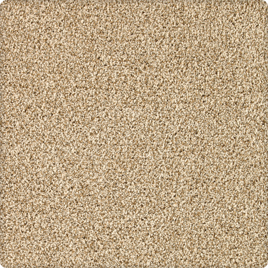 A close-up of Brava Family Friendly Carpet in Manuscript color, featuring a textured, plush surface with tightly packed fibers.