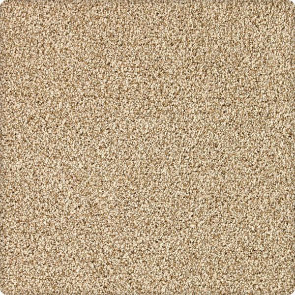 A close-up of Brava Family Friendly Carpet in Manuscript color, featuring a textured, plush surface with tightly packed fibers.