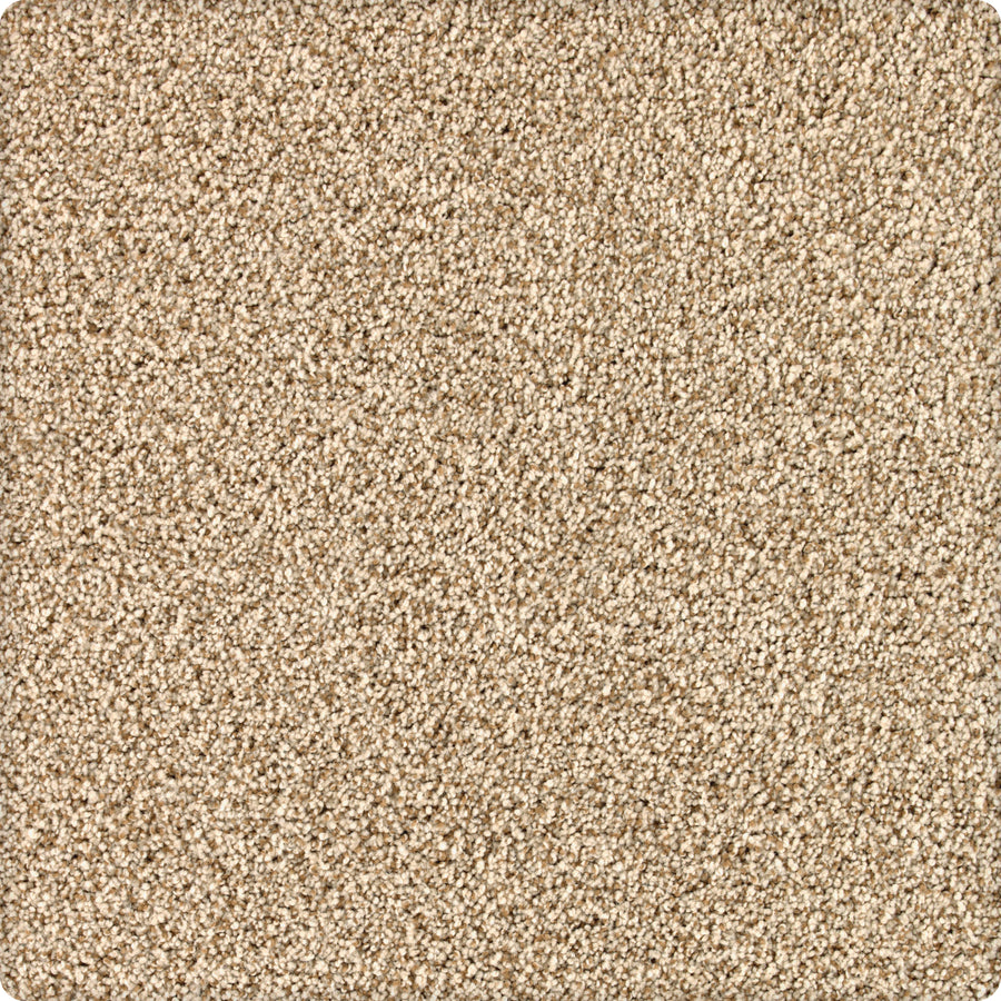 Close-up of Brava Family Friendly Carpet in Shorescape, featuring a plush, beige textured surface with a dense, uniform pattern and slightly rounded stain-resistant edges.