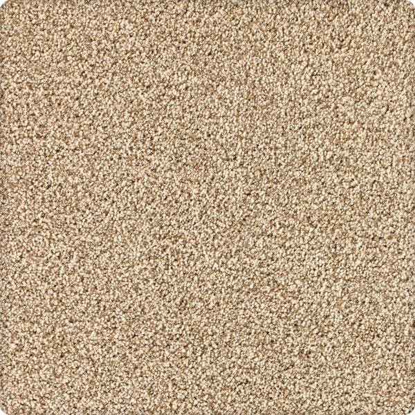 Close-up of Brava Family Friendly Carpet in Shorescape, featuring a plush, beige textured surface with a dense, uniform pattern and slightly rounded stain-resistant edges.