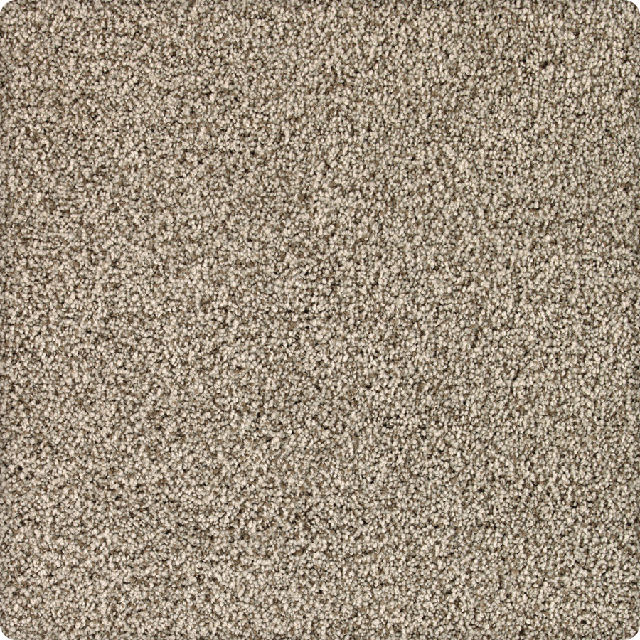 Close-up of Brava Family Friendly Carpet in Yorktown: a beige, dense looped fiber carpet with a soft, uniform surface. Its neutral tone and durable design make it ideal for homes or offices.