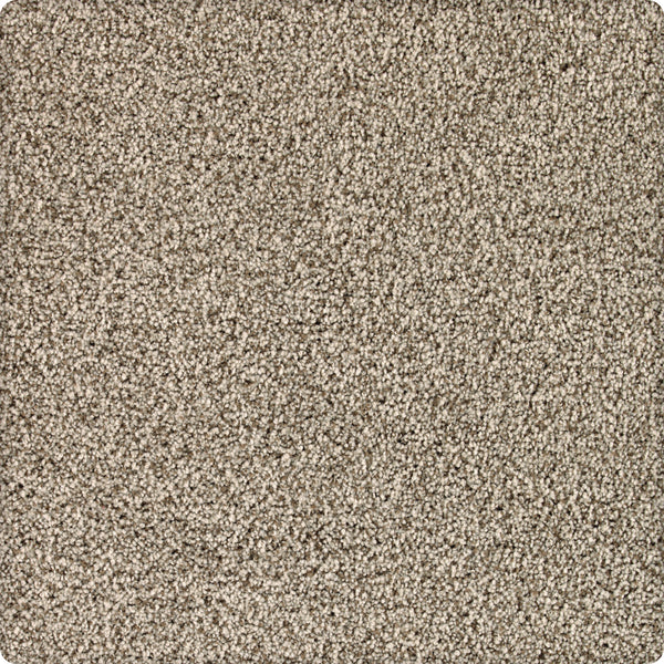 Close-up of Brava Family Friendly Carpet in Yorktown: a beige, dense looped fiber carpet with a soft, uniform surface. Its neutral tone and durable design make it ideal for homes or offices.