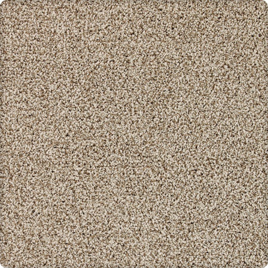 Close-up view of Brava Family Friendly Carpet in Saddlery color, featuring a soft, plush surface and tightly packed fibers—durable, stain resistant, and perfect for family spaces.