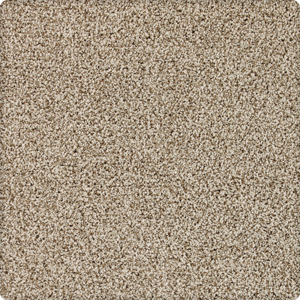 Close-up view of Brava Family Friendly Carpet in Saddlery color, featuring a soft, plush surface and tightly packed fibers—durable, stain resistant, and perfect for family spaces.