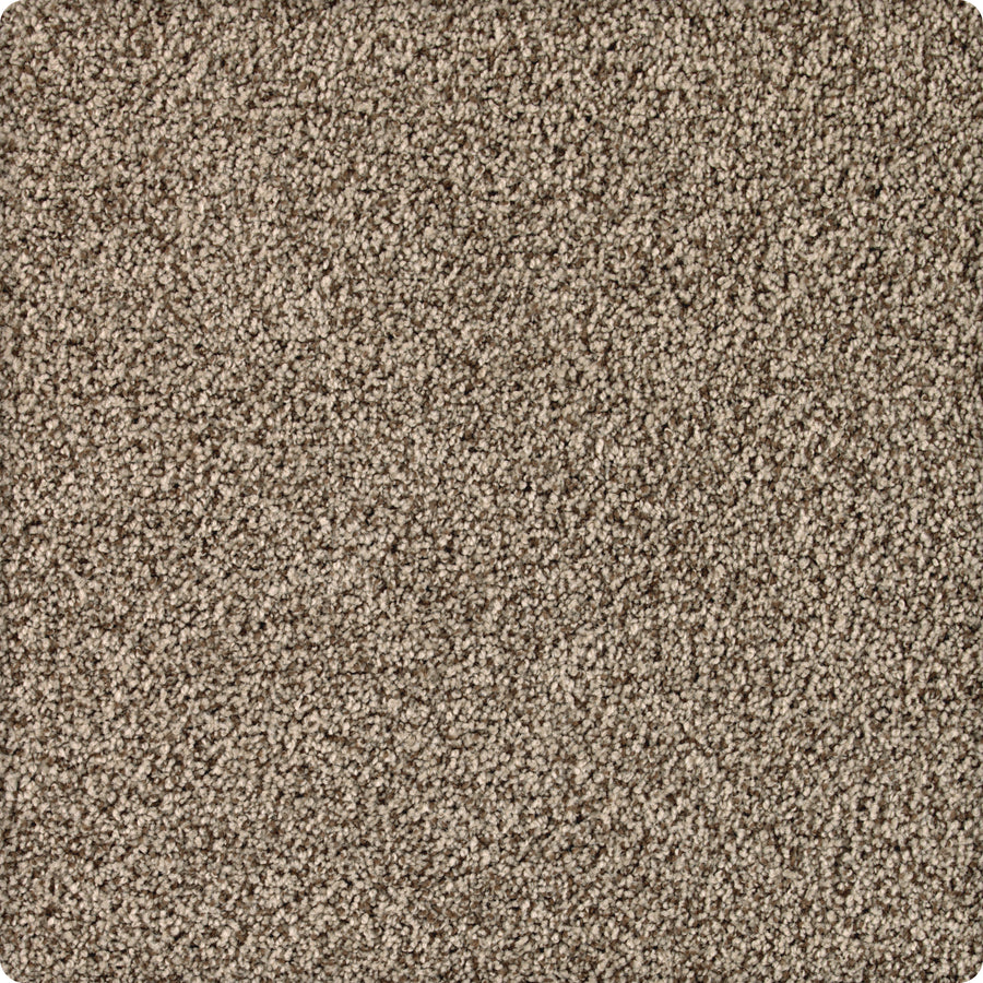 Close-up of Brava Family Friendly Carpet in Brownstone, featuring a soft, looped pile and tightly woven fibers for a uniform look and lasting durability. The image edges are softly rounded.