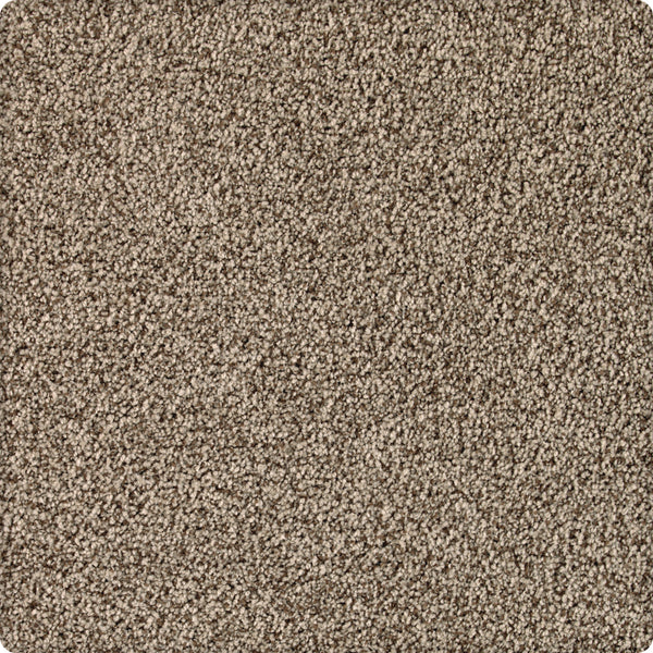 Close-up of Brava Family Friendly Carpet in Brownstone, featuring a soft, looped pile and tightly woven fibers for a uniform look and lasting durability. The image edges are softly rounded.