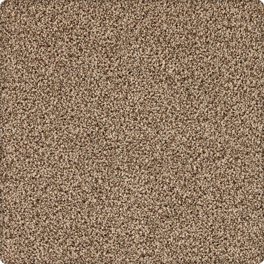 Close-up of Brava Family Friendly Carpet in Thoroughbred, showing its square patch of beige, stain-resistant surface. The soft, textured fibers are short, durable, slightly speckled, and evenly distributed for lasting comfort.