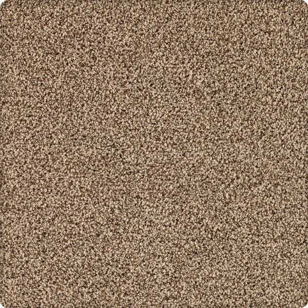Close-up of Brava Family Friendly Carpet in Thoroughbred, showing its square patch of beige, stain-resistant surface. The soft, textured fibers are short, durable, slightly speckled, and evenly distributed for lasting comfort.