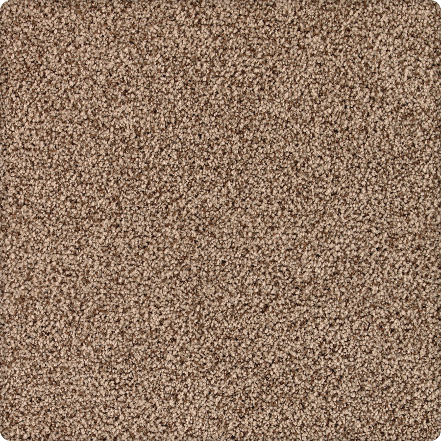 Close-up of Brava Family Friendly Carpet in Wild West color, displaying soft, dense, and textured beige-brown fibers with a uniform look—ideal for durable, family-friendly spaces.
