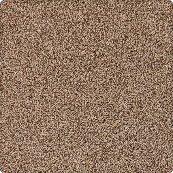 Close-up of Brava Family Friendly Carpet in Wild West color, displaying soft, dense, and textured beige-brown fibers with a uniform look—ideal for durable, family-friendly spaces.