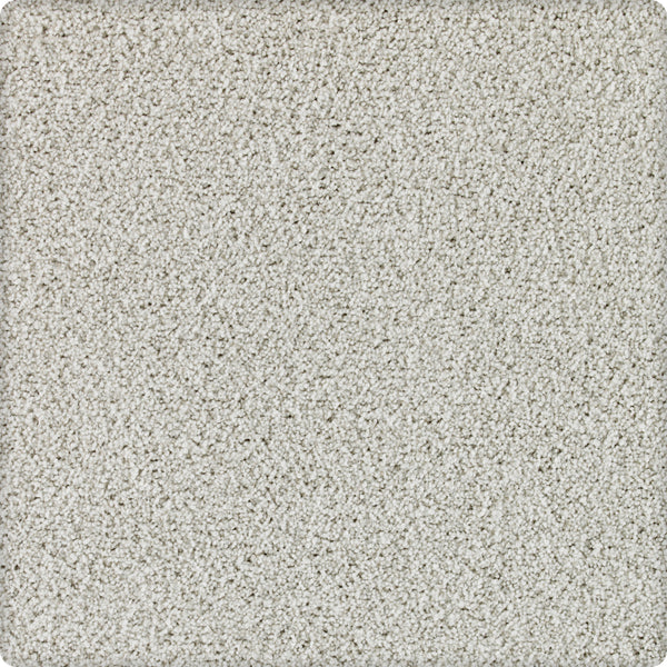 A close-up of Brava Family Friendly Carpet in Celestial reveals a light grey, textured surface with tightly packed fibers for a soft, uniform look—ideal as a durable, family-friendly choice for everyday living.