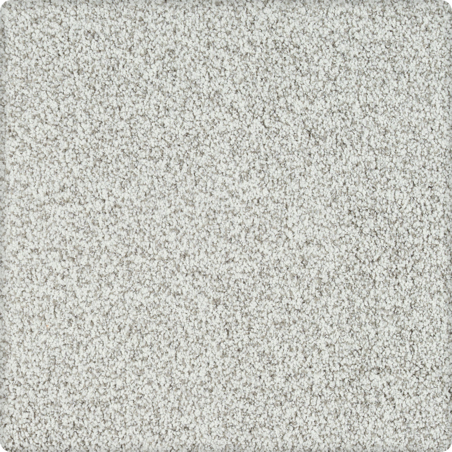 Close-up of Brava Family Friendly Carpet in Heatherly—a light gray, textured carpet with dense, soft fibers and a subtle speckled look. Durable and ideal for family-friendly spaces.