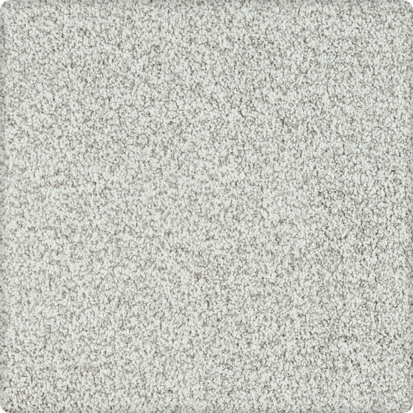 Close-up of Brava Family Friendly Carpet in Heatherly—a light gray, textured carpet with dense, soft fibers and a subtle speckled look. Durable and ideal for family-friendly spaces.