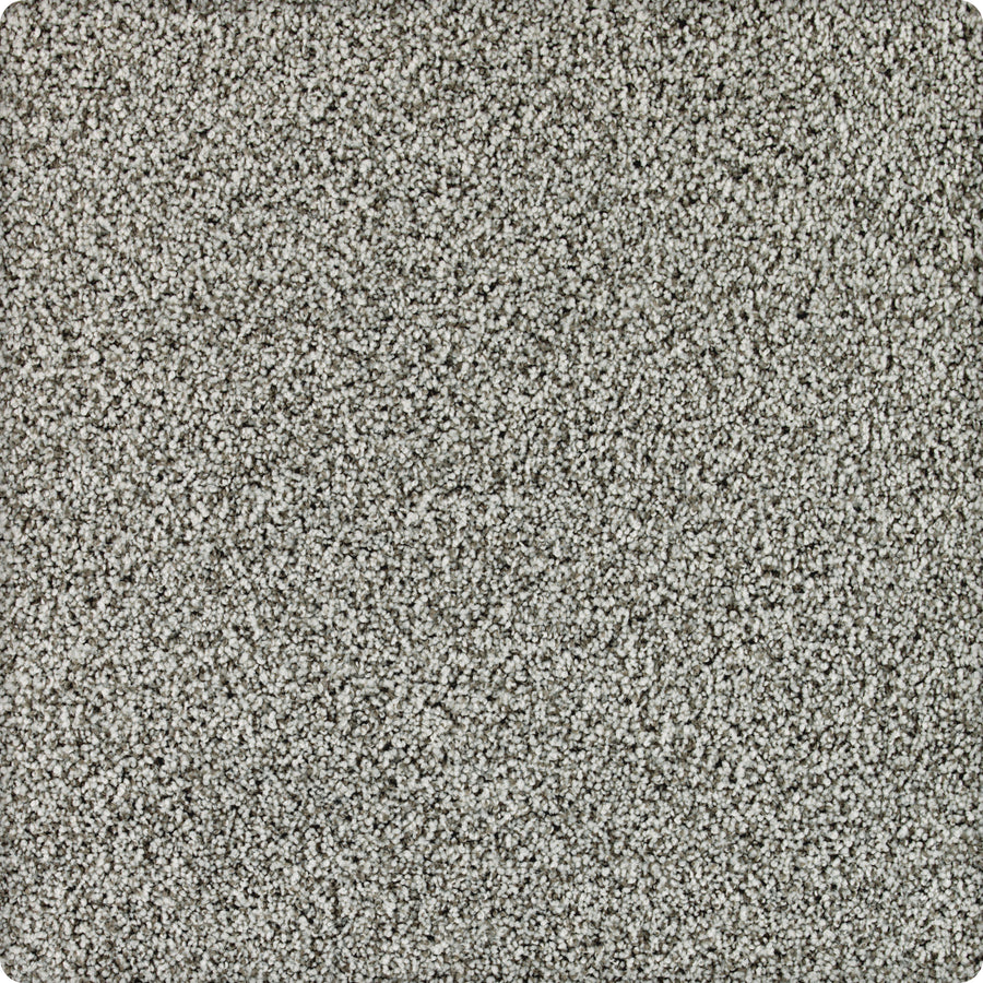 Close-up of Brava Family Friendly Carpet in Stormwatch, featuring a dense, soft pile and tightly woven fibers for a plush, uniform surface. Its gray, stain-resistant texture makes it ideal for families seeking a neutral look.