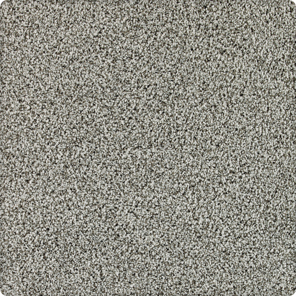 Close-up of Brava Family Friendly Carpet in Stormwatch, featuring a dense, soft pile and tightly woven fibers for a plush, uniform surface. Its gray, stain-resistant texture makes it ideal for families seeking a neutral look.
