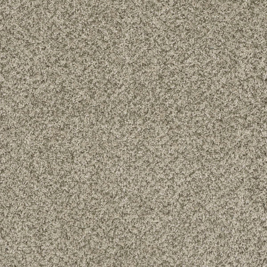 A close-up view of Brazen II Pet Friendly Carpet in Acadia, featuring a soft, plush surface with densely packed fibers that offer premium quality and luxurious flooring for any interior space.