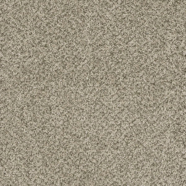 A close-up view of Brazen II Pet Friendly Carpet in Acadia, featuring a soft, plush surface with densely packed fibers that offer premium quality and luxurious flooring for any interior space.