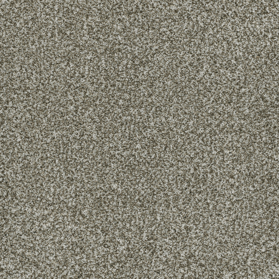 Close-up of Brazen II Pet Friendly Carpet in Clove—a textured surface with fine, light gray and white specks for a sand-like look. Its dense, uniform pattern showcases premium-quality flooring that’s both elegant and durable.